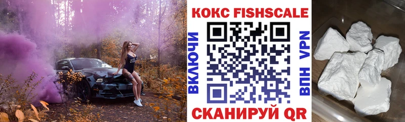 Купить закладки  Порхов  COCAIN 99% 