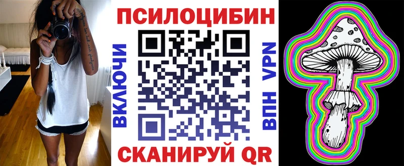 Купить где  Порхов  Псилоцибиновые грибы Psilocybe 